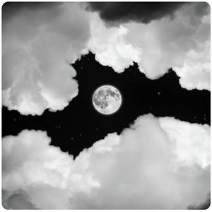 Meet your Posher, Jack